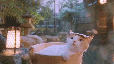 鍘﹂棬澶╂矏娓╂硥閰掑簵,鍘﹂棬澶╂矏娓╂硥鏅偣浠嬬粛