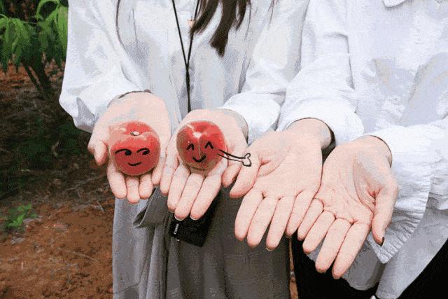 碱小苏打泡打粉酵母粉是怎么来的,酵母小苏打泡打粉食用碱的区别