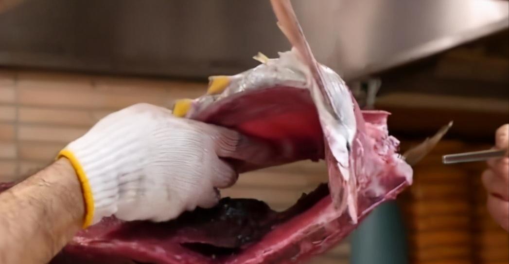 日本顶级大厨切鱼,日本大厨杀700斤金枪鱼