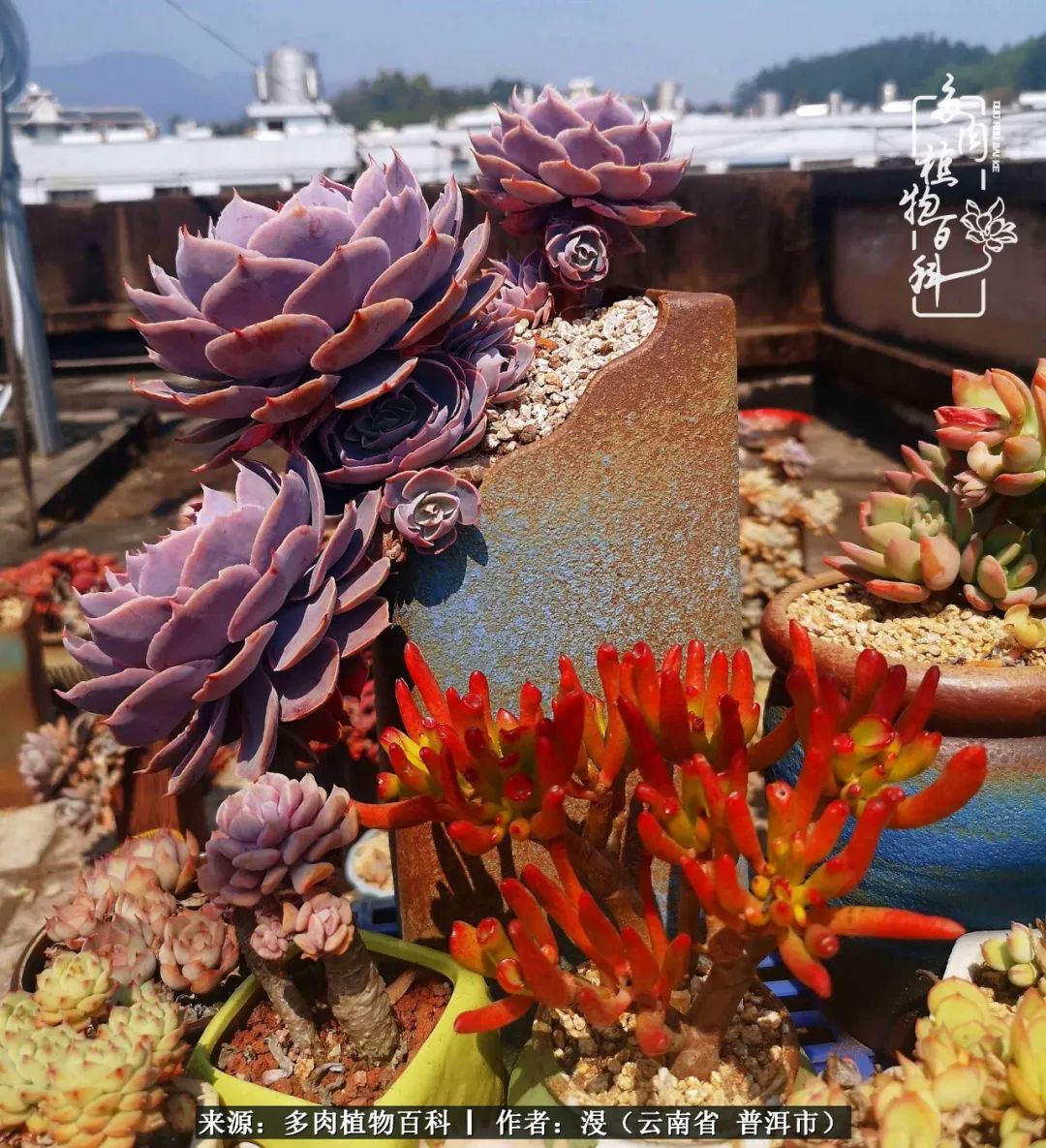 风过留痕讲的啥,风过留痕朗诵