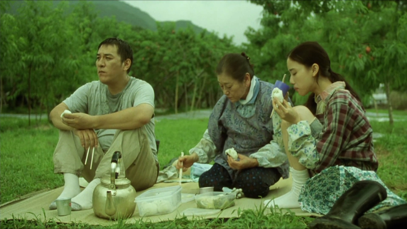 百万元与苦虫女讲了啥,百万元与苦虫女解读