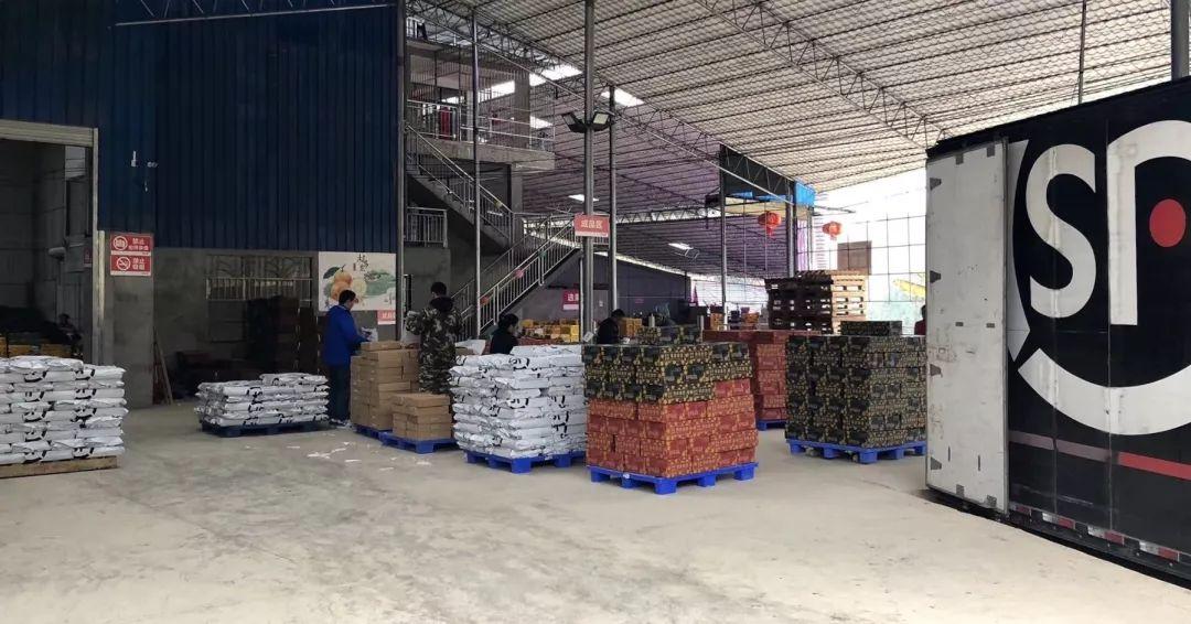 冰糖心金桔独立包装,冰糖心苹果顺丰包邮