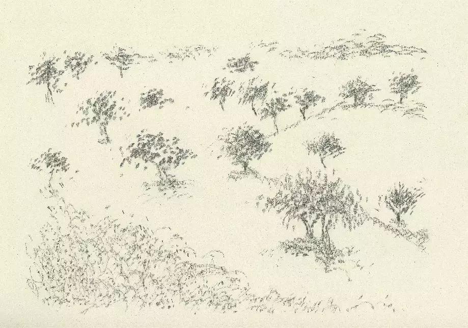 科尔伯,科尔伯山的日文罗马音