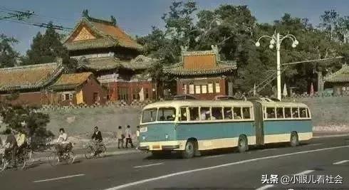 我独家的记忆,我的独家记忆照片