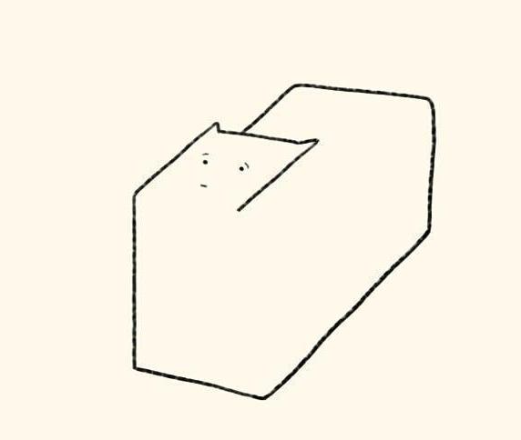 众所周知猫是液体,众所周知猫的缺点