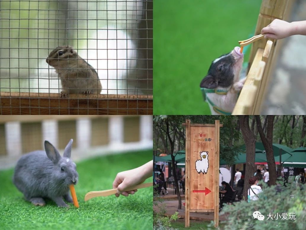 北京清明节遛娃好去处,北京适合遛娃的博物馆