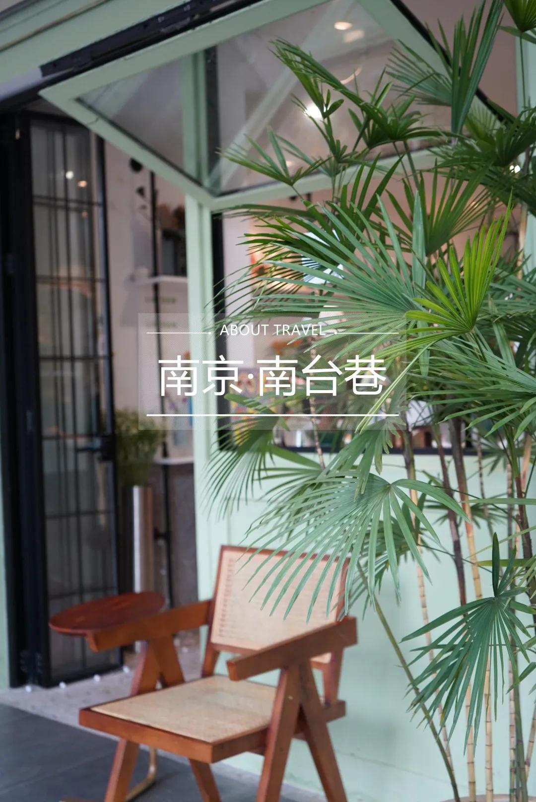 南京版“武康路”火了！藏在市区的南台巷到底有多少宝藏？