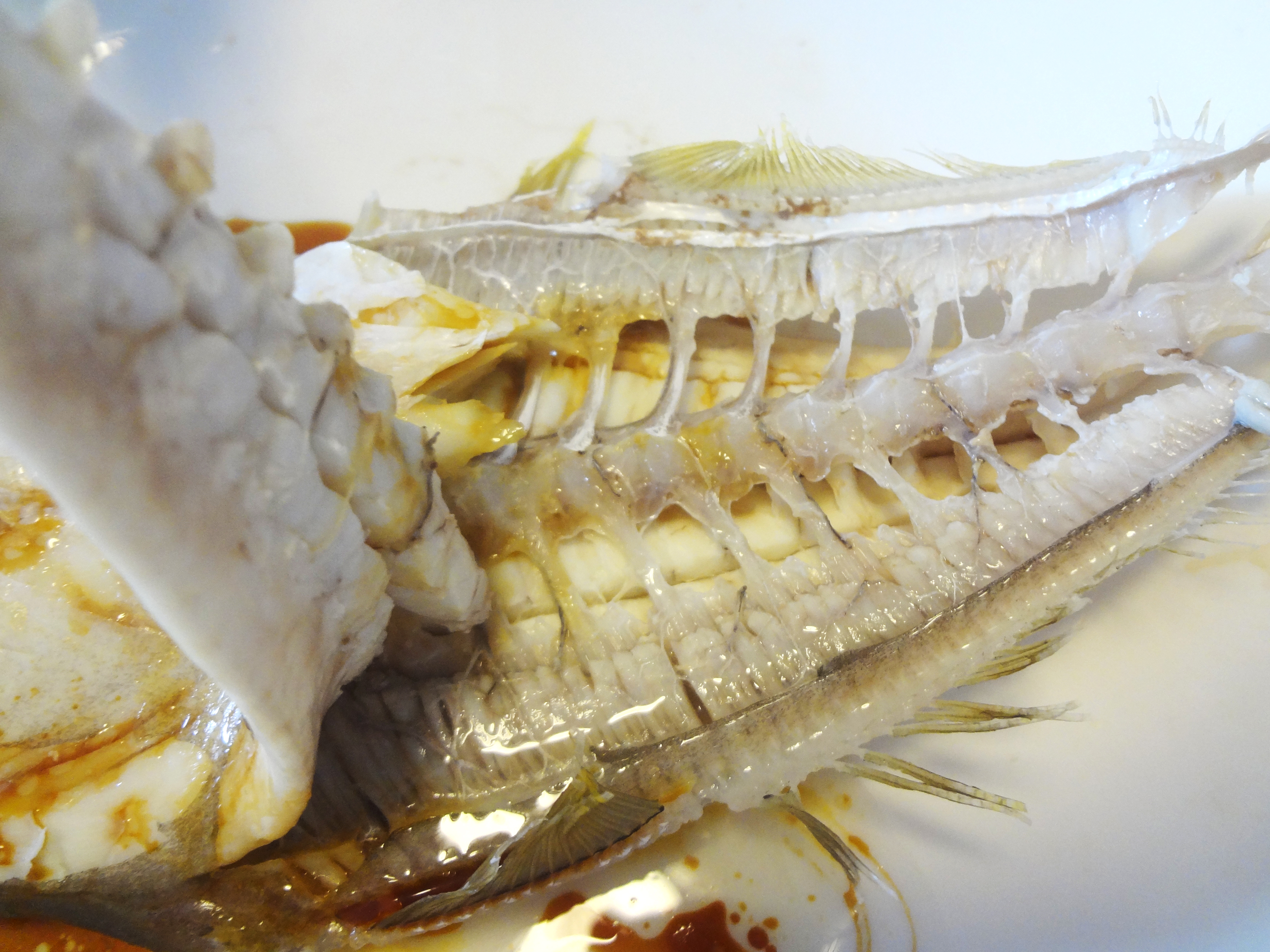 买鱼食内行人专买这十种纯海鱼,内行人就买这5种鱼