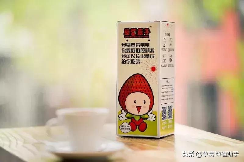 草莓一亩能赚多少钱,白色草莓一亩能赚多少钱