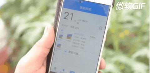 一天能供应武汉2000吨菜!这个地方种菜为什么这么牛?