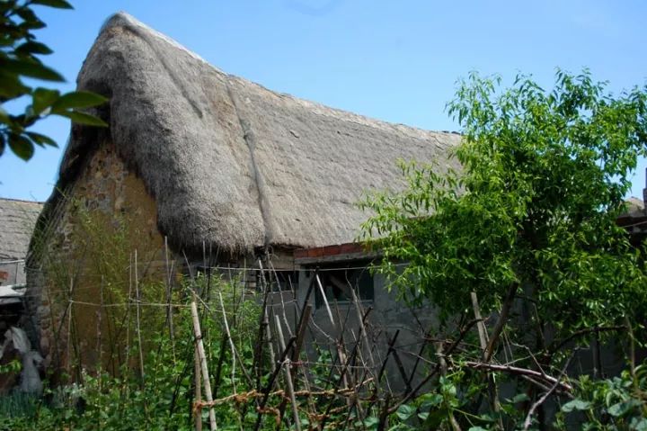 威海五一旅游攻略,五一威海旅游有一起的吗