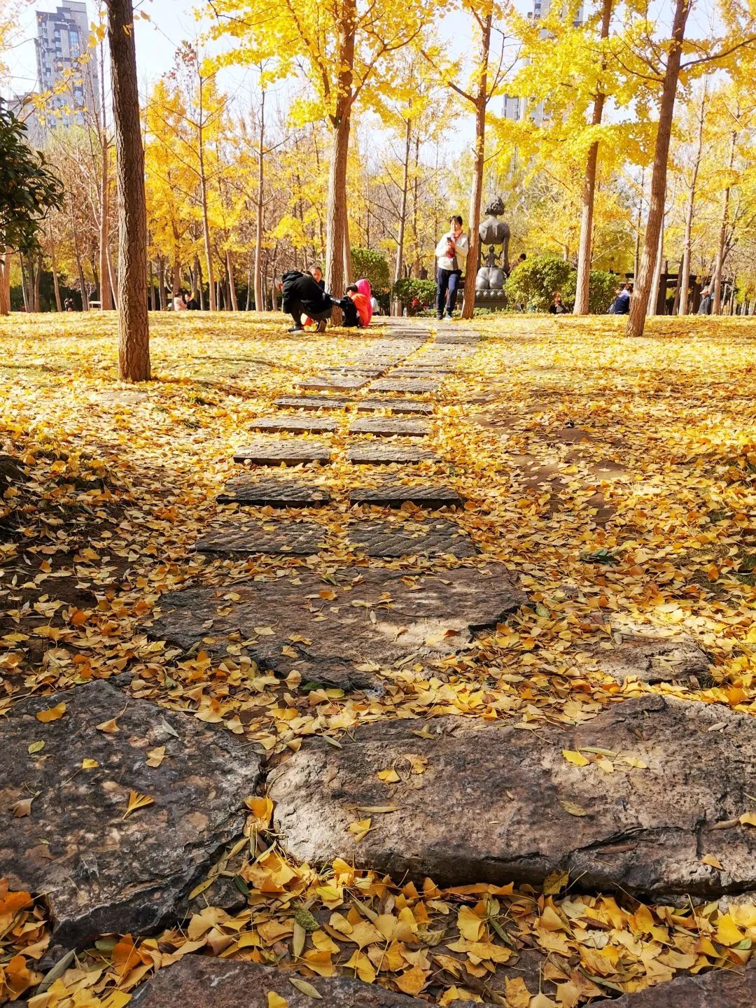 夏日好去处济南森林公园,济南森林公园雪景