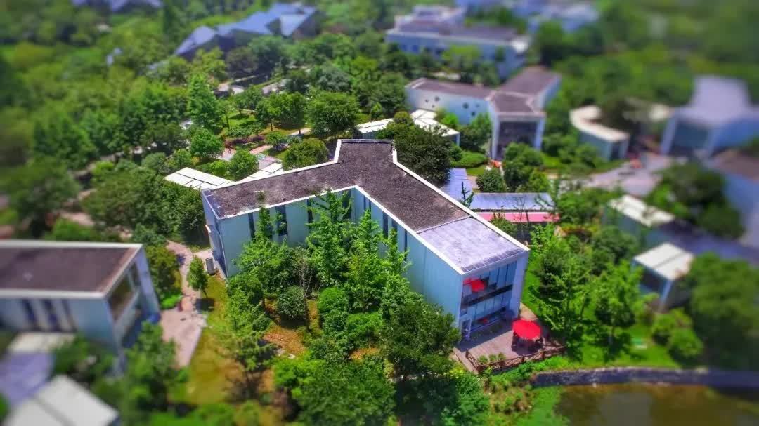 量化龙旗科技,龙旗科技量化私募