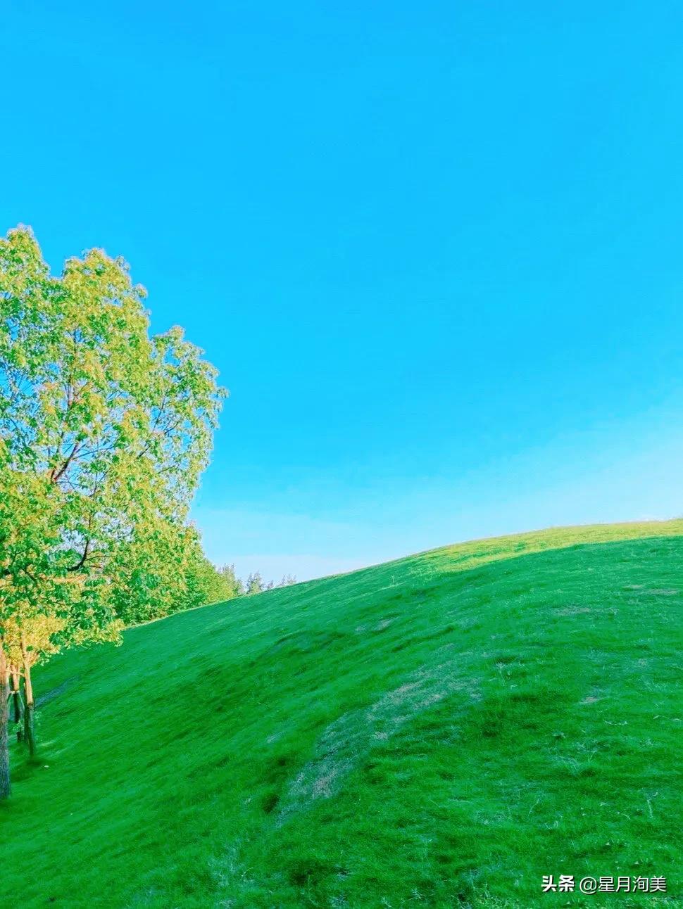 成都周边小众景点一日游,成都又一打卡网红地