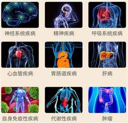 比较火的益生菌,益生菌为什么突然火了