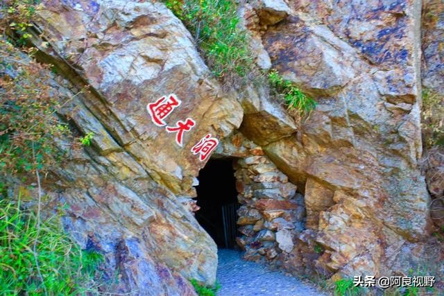 庄河黑岛名人,庄河黑岛沈屯