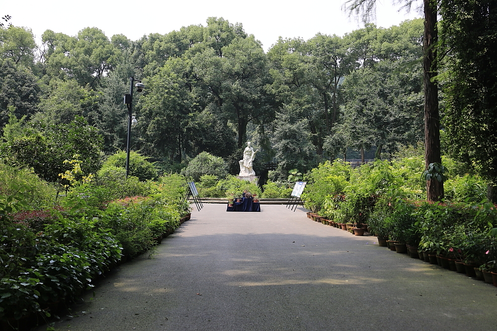 植物园的景；青山吹奏《红河谷》（F调）半音阶口琴演奏第二版