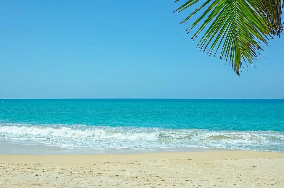 卖保险很赚钱吗,卖保险真的那么赚钱吗