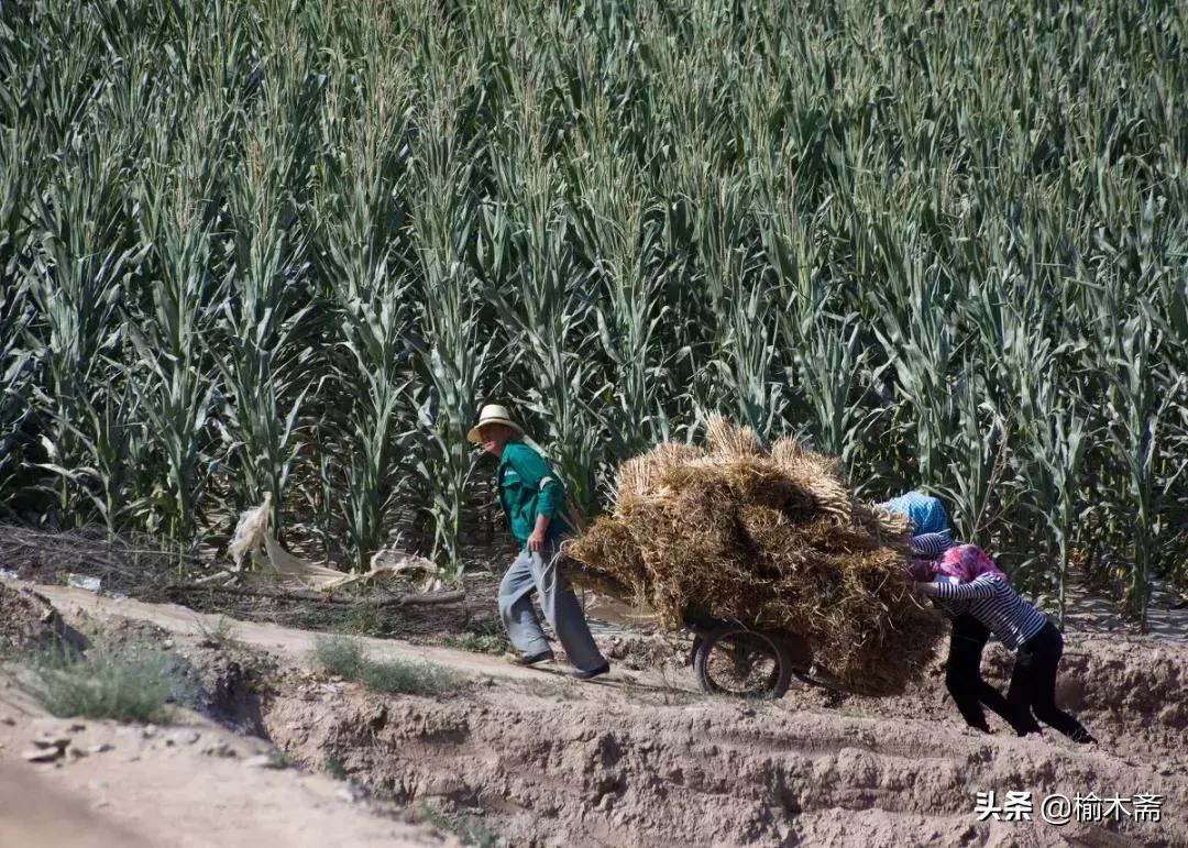 小型车有哪几种,农村用的小平车