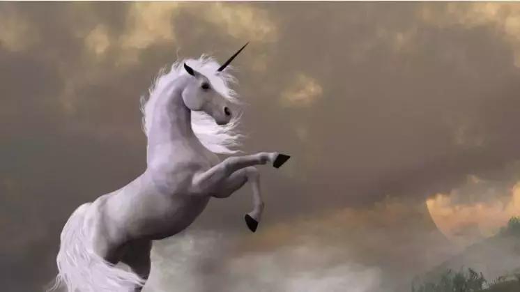 那些年我们追过的大牛股,那些年大牛股