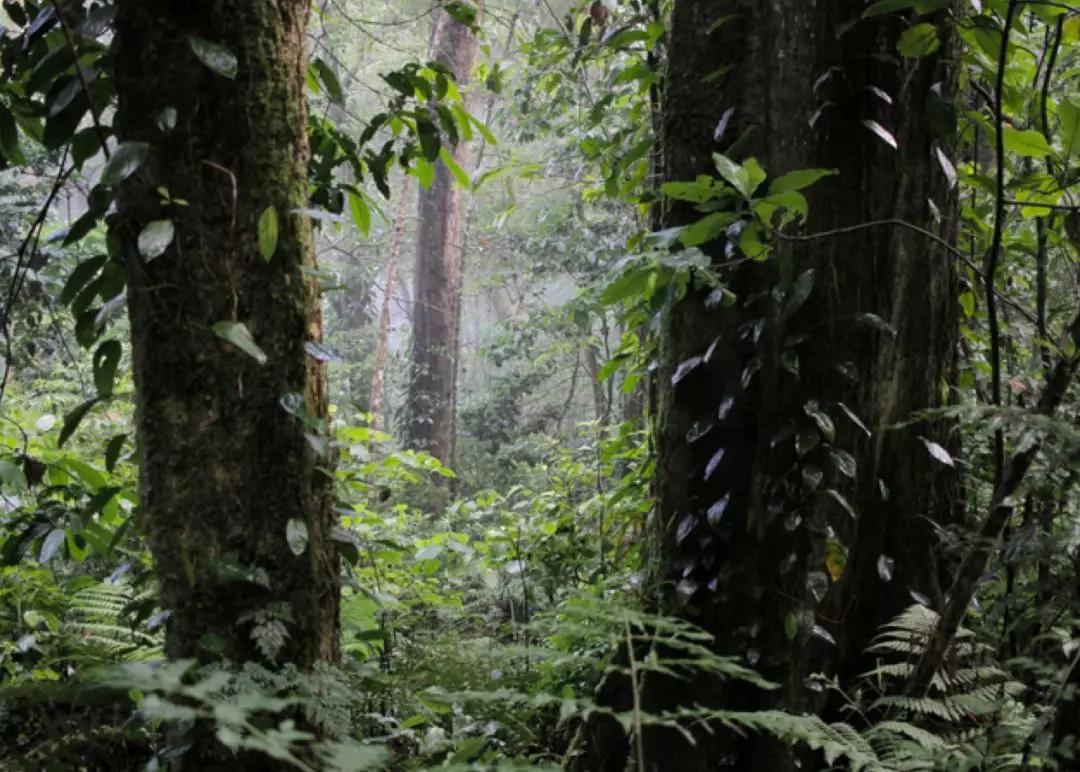 怎样挑选适合自己的香水,如何挑选自己的第一款香水