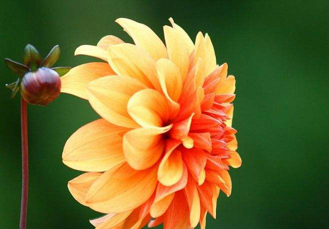 无法看清自己的人最可悲,看清一个人的十种方法