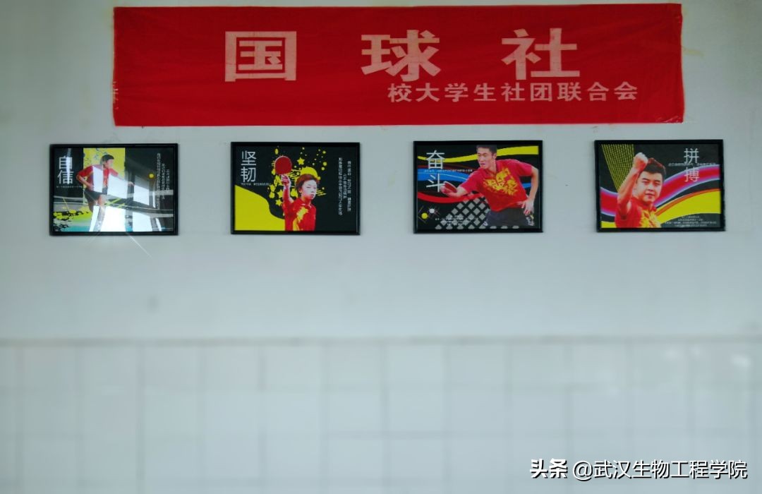 运动型社团活动,你好社团