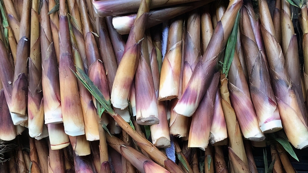 夏季苦夏如何调理,夏季吃5种苦味食物胜过进补