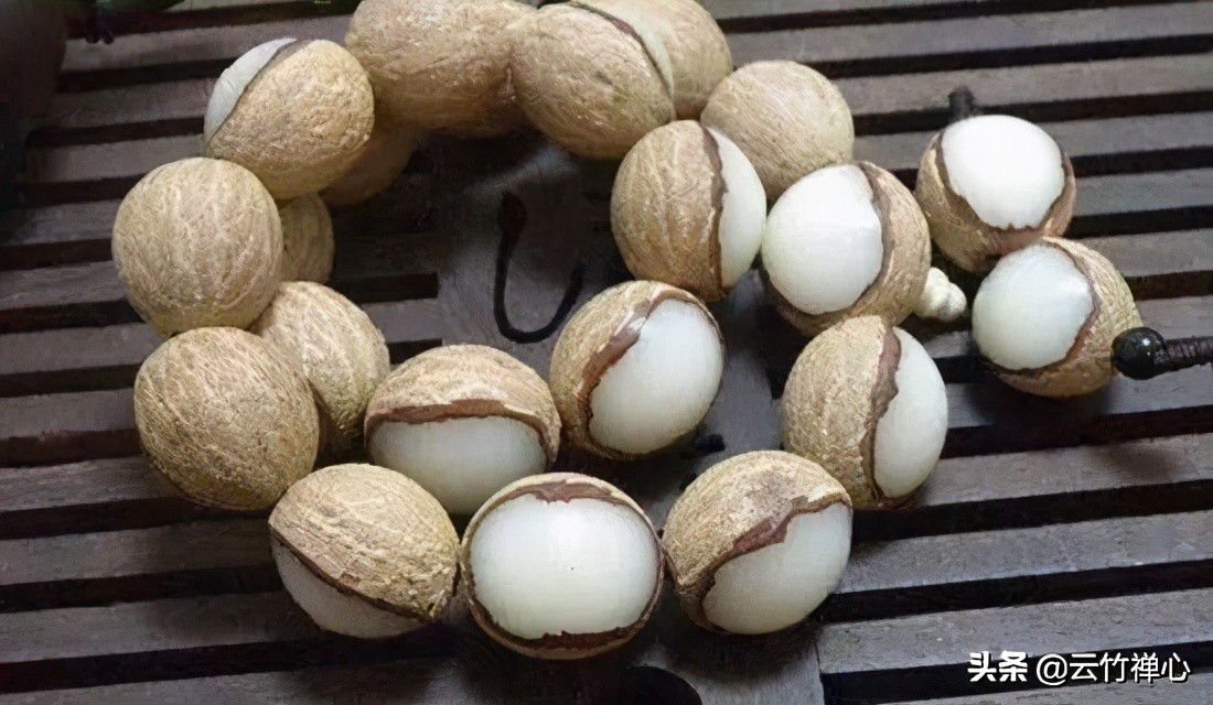 菩提根的盘玩方法和注意事项,菩提根如何盘玩的好