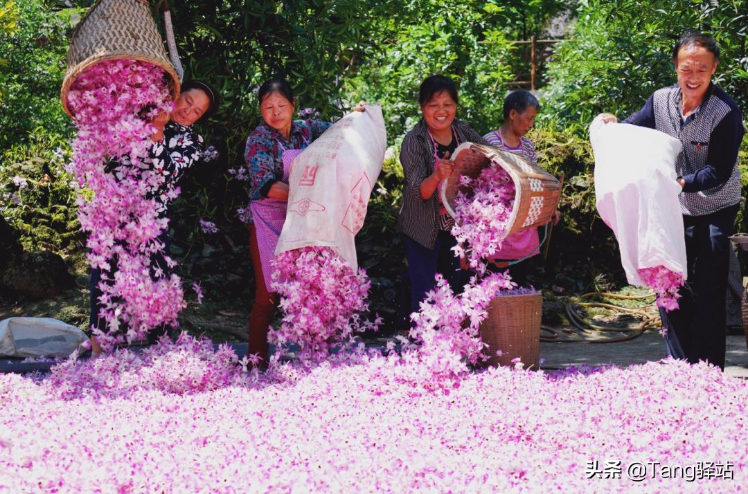 70年遵义老城图片,70年的贵州遵义桐梓县