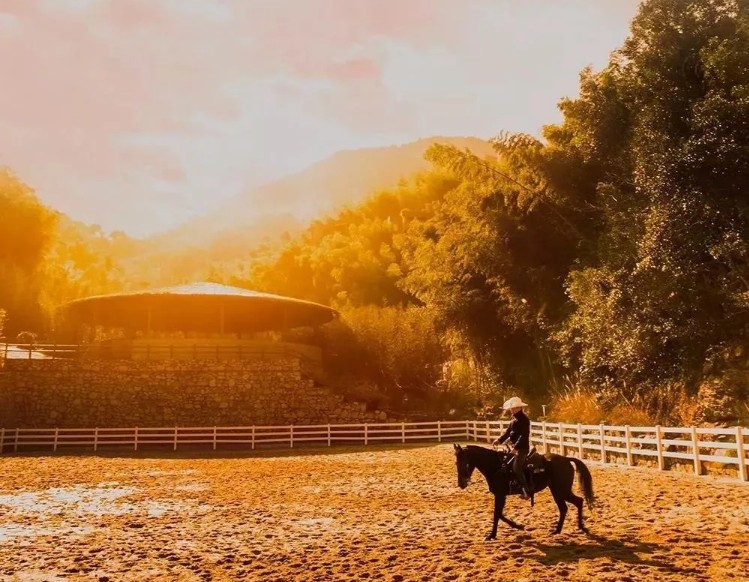 瀹佹尝瀹佹捣瀹夋緶,瀹佹捣瀹夋緶搴﹀亣閰掑簵鏀荤暐