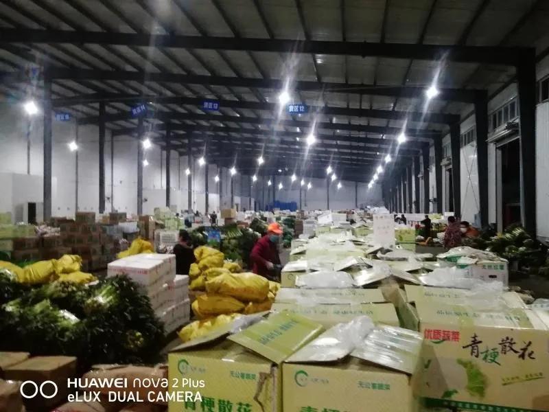 【战疫行动】黄州人，你下单代购的蔬果都是从哪里、怎么来的？——保供“战场”系列报道（四）