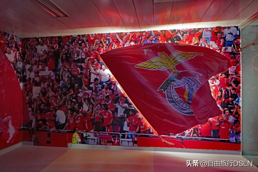 在葡萄牙旅游,葡萄牙体育里斯本竞技本菲卡