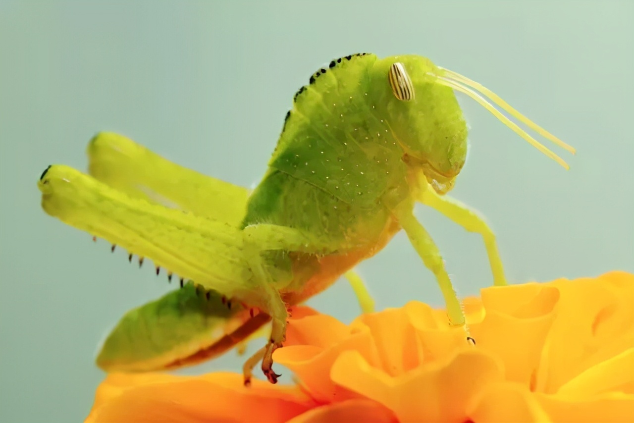 新手摄影怎么拍出质感,新手如何拍出好的作品