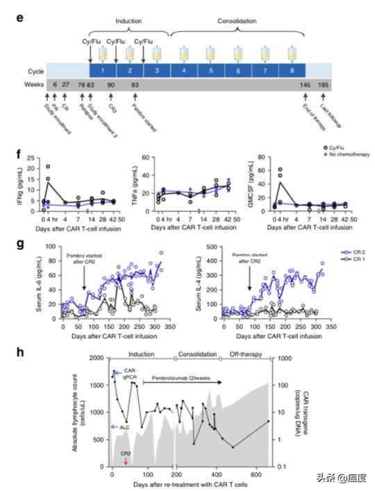 7岁横纹肌肉瘤患儿康复，CAR-T细胞疗法这么神奇吗？