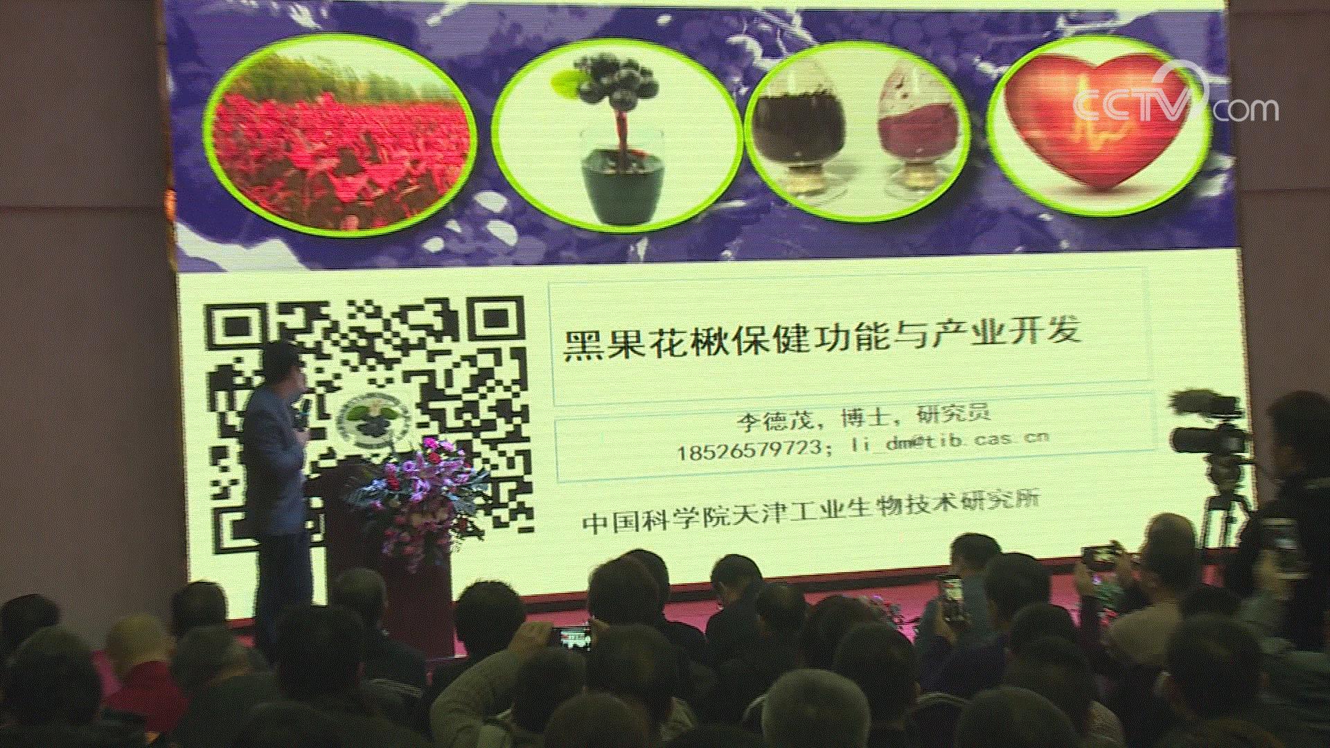 黑果花楸和蓝莓,黑果花楸和蓝莓有什么区别