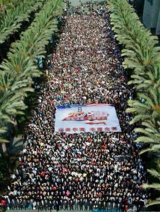 疫情下的西方消费,疫情下的国外旅游市场