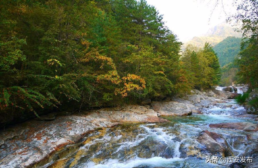 陕西省十大村庄,陕西省11个贫困县名单