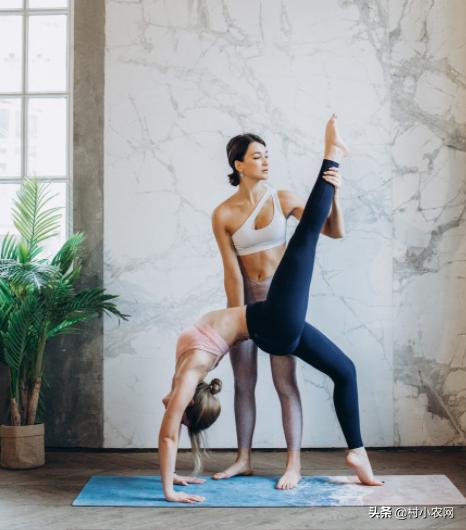 适合农村创业的29个项目,2022乡镇致富新项目