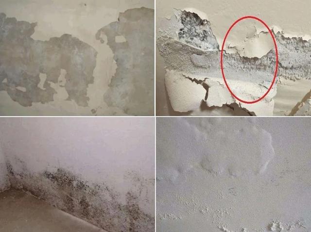 家里墙发霉，别听补漏“忽悠”花冤枉钱，教你一个新方法轻松除霉