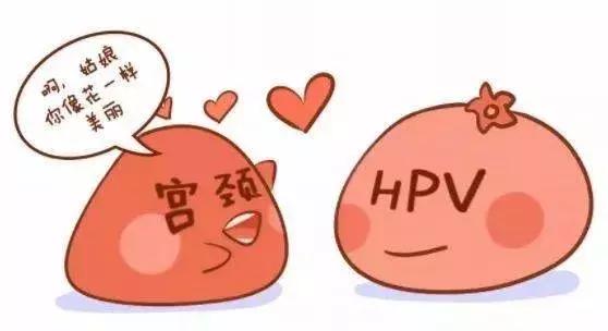 得了hpv低危还能打宫颈疫苗吗,为什么得了hpv的不能打宫颈疫苗