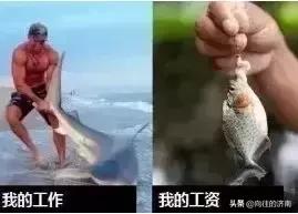 济南平均工资2023中位数,济南平均工资2024