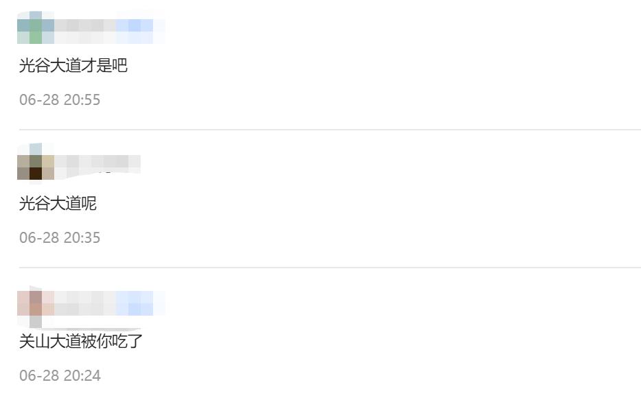 光谷关山大道左岭段,光谷左岭千亿大道