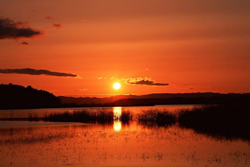 远在他乡漂泊孤独的诗句,写游子漂泊在他乡诗