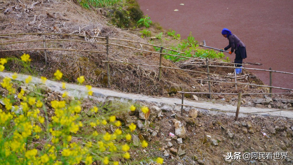 云南普者黑元阳坝美6天旅游攻略,云南建水普者黑旅游路线