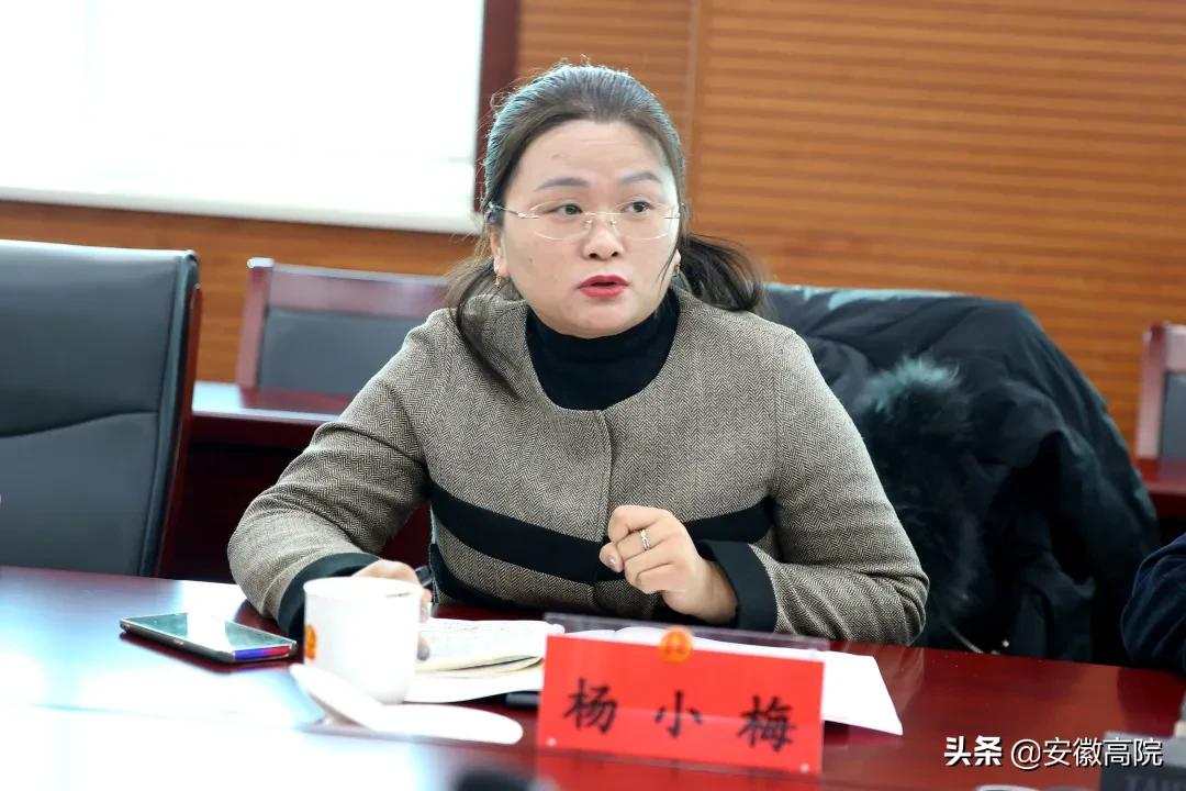 代表委员为法院工作建言献策,代表委员看法院