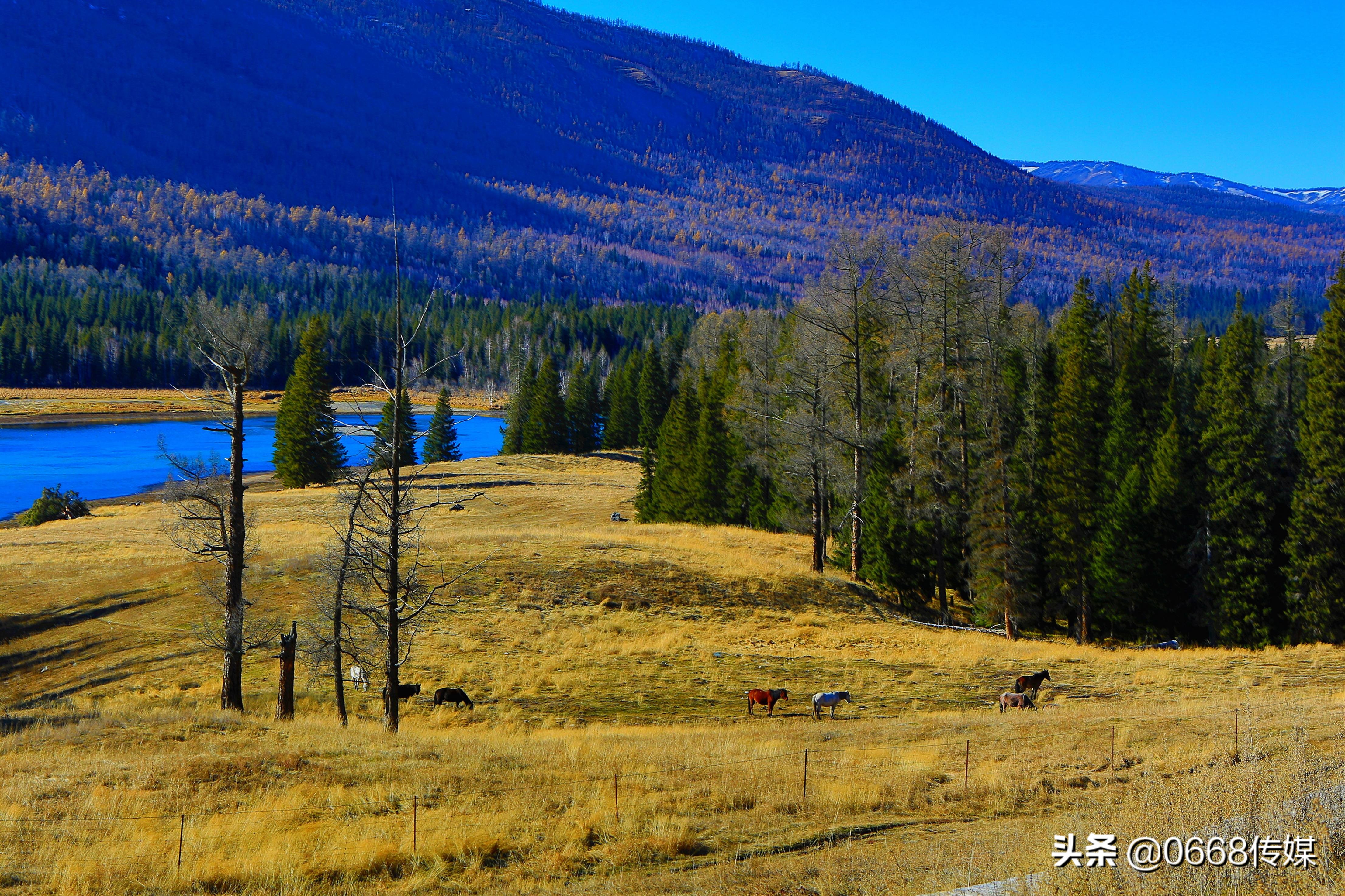 新疆十大美景喀纳斯景区,最美喀纳斯湖