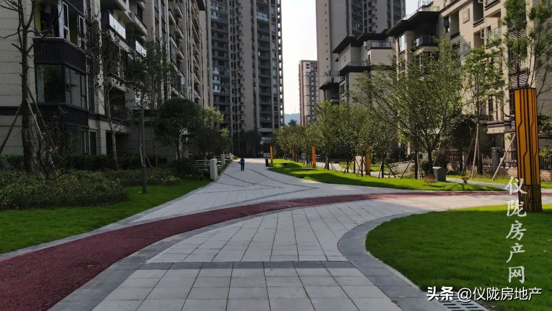 仪陇新政最好的楼盘,仪陇最好的楼盘是哪个