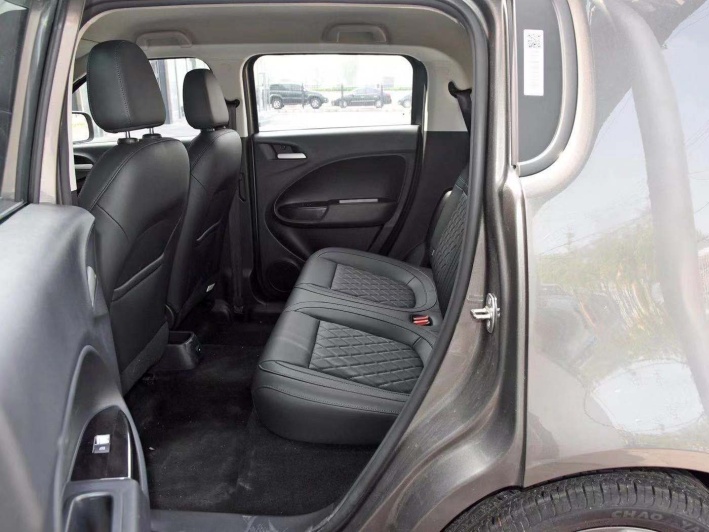 薛定谔的猫实测,欧拉白猫小野猫试驾