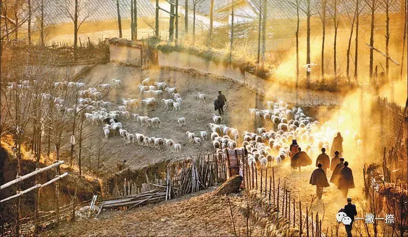 人民日报最惊艳的图片,人民日报最美照片